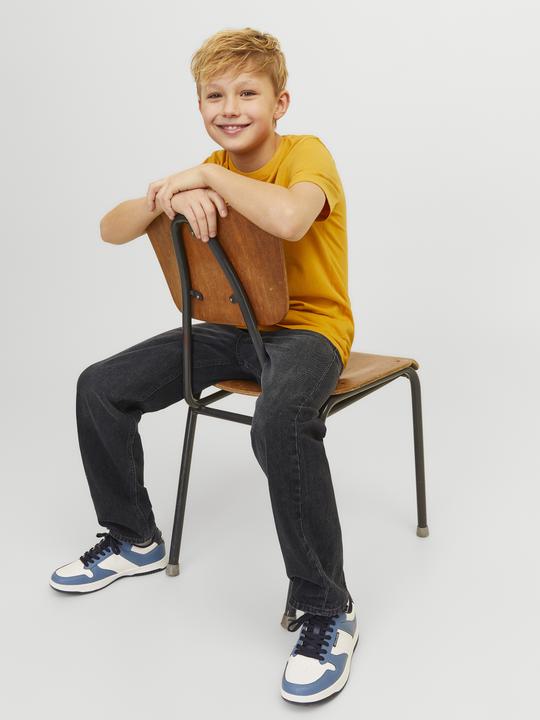 Produktbild Jack & Jones Jjichris Jjoriginal Sq 602 Noos Jnr (176)