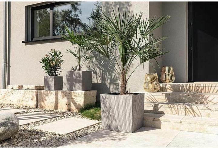 Produktbild Lechuza Blumentopf Cube Cottage 50 (50 x 50 x 49.50 cm)