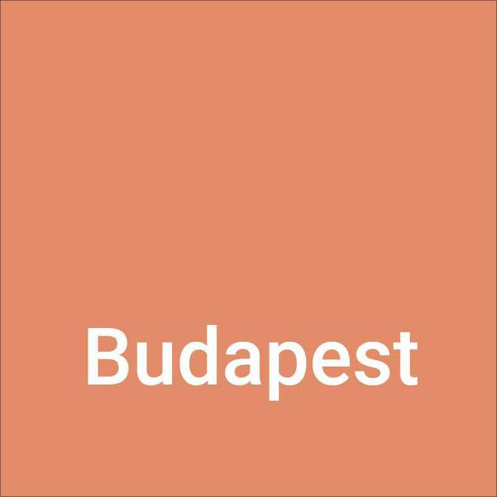Produktbild Dupli-Color NEXT Budapest seidenmatt (Budapest Orange, 0.40 l)