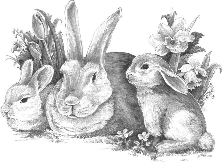 Produktbild Royal & Langnickel Sketching Made Easy Set (304010)