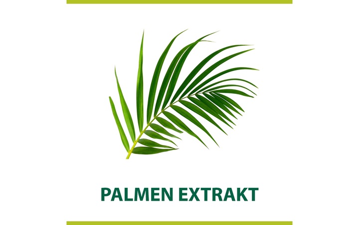 Actual product image Palmolive Men Classic (300 ml, Shaving cream)