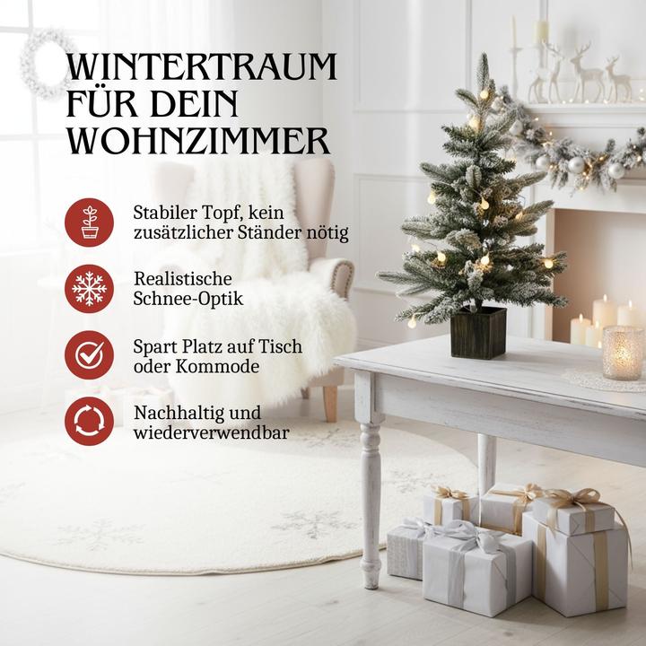 Immagine prodotto Hermex Albero di Natale (60 cm)