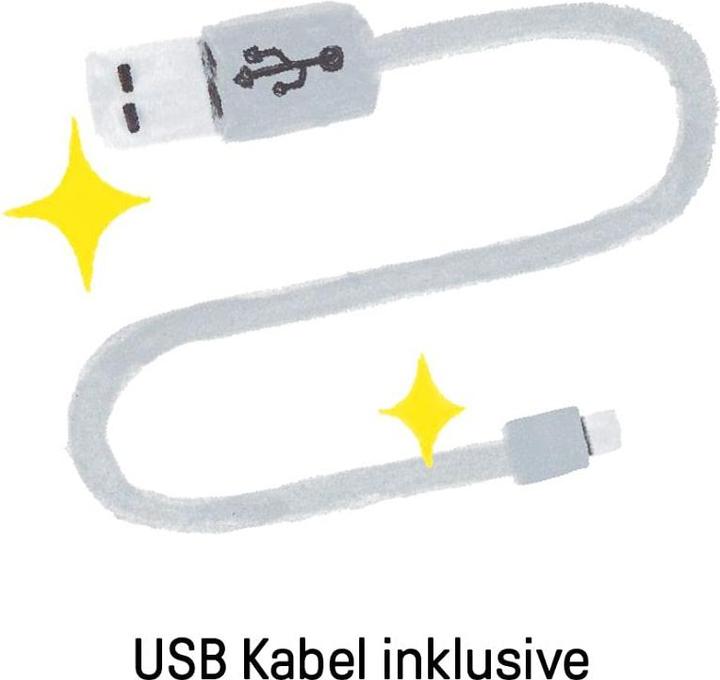 Produktbild Ingenuity AnyWay Sway PowerAdapt - Ray