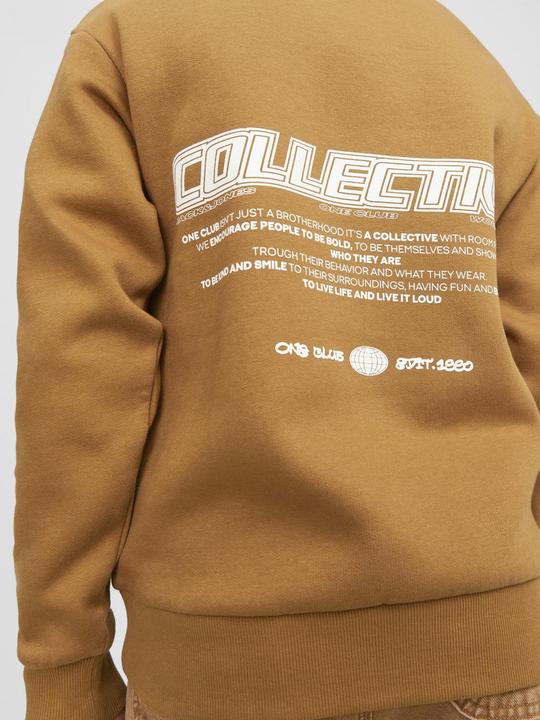 Actual product image Jack & Jones Jorcollect Edt Loose Sweat Crew Jnr (176)