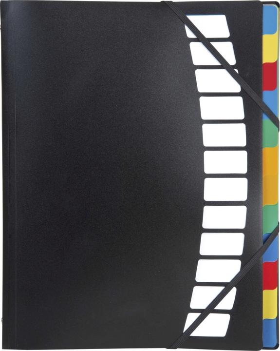 Image du produit Brunnen Classeur à 12 compartiments noir (A4, 1x)
