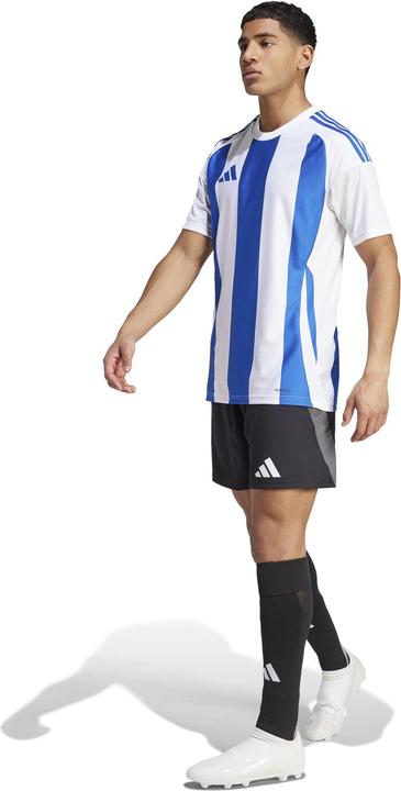 Produktbild No Name Koszulka męska adidas Striped 24 Jersey biało-niebieska IW2144 S (S)