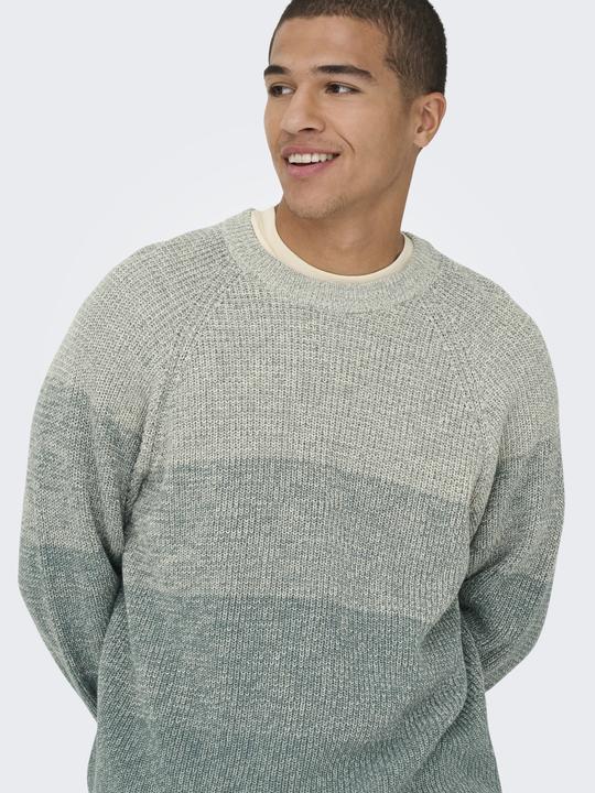 Image du produit Only & Sons Pullover BIRK Strickpullover R-Neck (L)