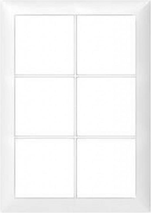 Actual product image ABB Cover frame 2x3 white