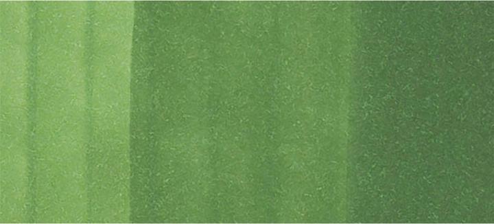Produktbild Copic Ciao Typ YG - 67 (YG67 - Moss, 1 x)