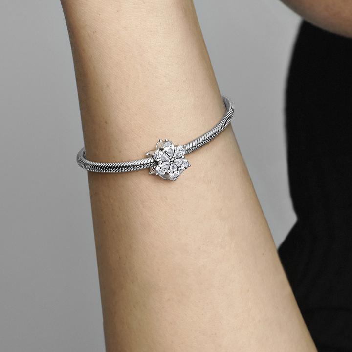 Immagine prodotto Pandora Senza tempo (Argento 925)