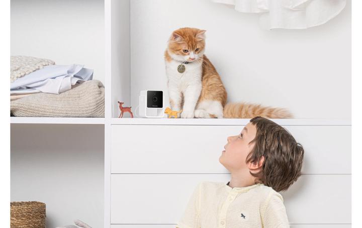 Immagine prodotto Petcube Telecamera per animali domestici (Catmint giocattolo)