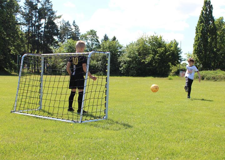 Actual product image Sport-Thieme Mini training goal with folding net hoops