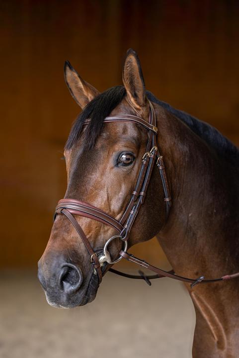 Immagine prodotto HFI Master Padded