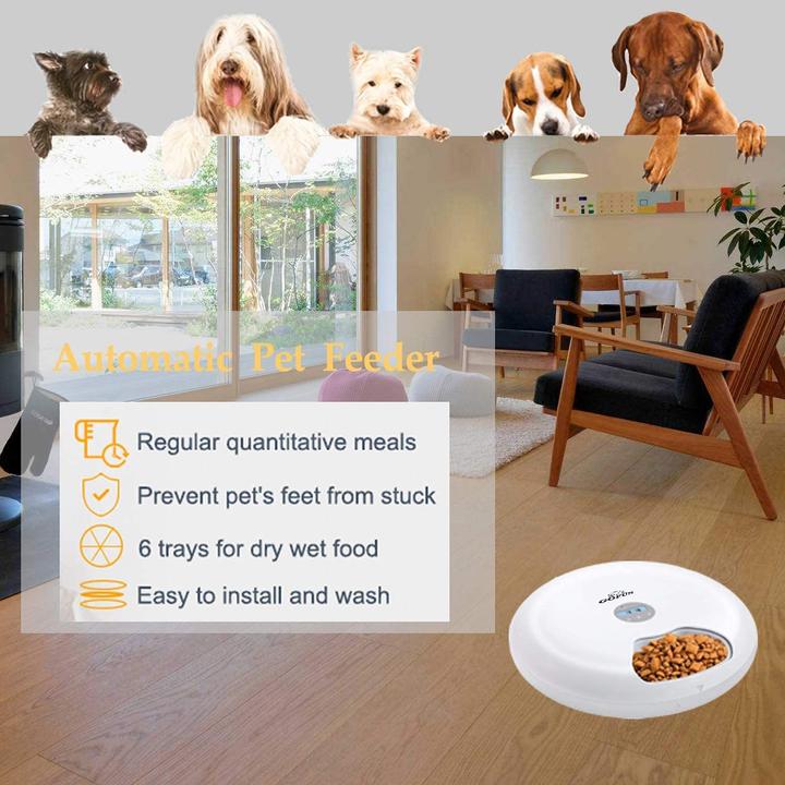 Actual product image Edha Automatic Feeder Cat