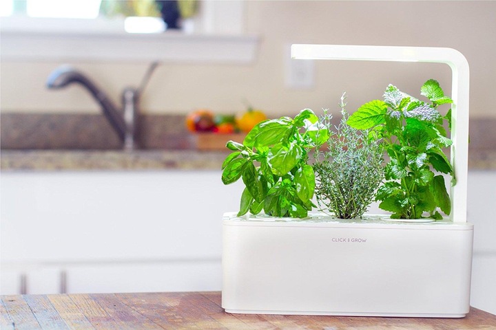 Click and Grow Smart Herb Garden (12 cm)