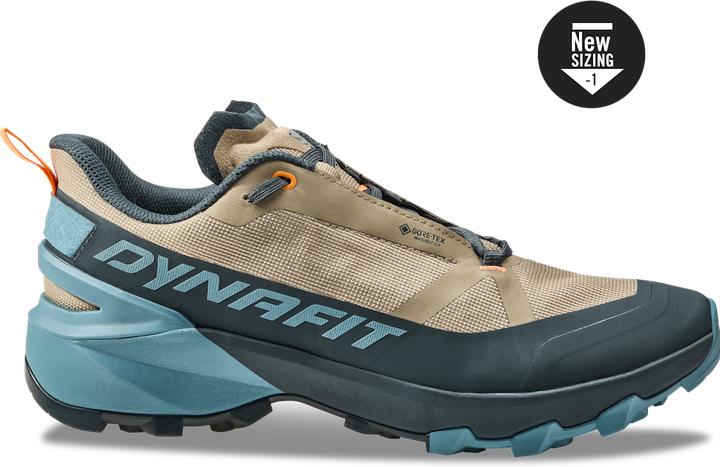 Produktbild Dynafit Transalper 2 GTX Laufschuh (47)