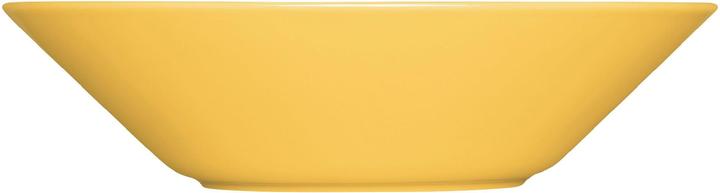 Actual product image Iittala Teema plate deep (1 x)
