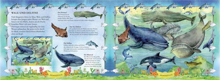 Produktbild Mein Puzzlebuch Meereswelt (24 Teile)