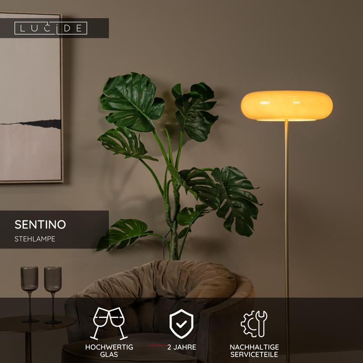 Actual product image Lucide Sentino (G9)