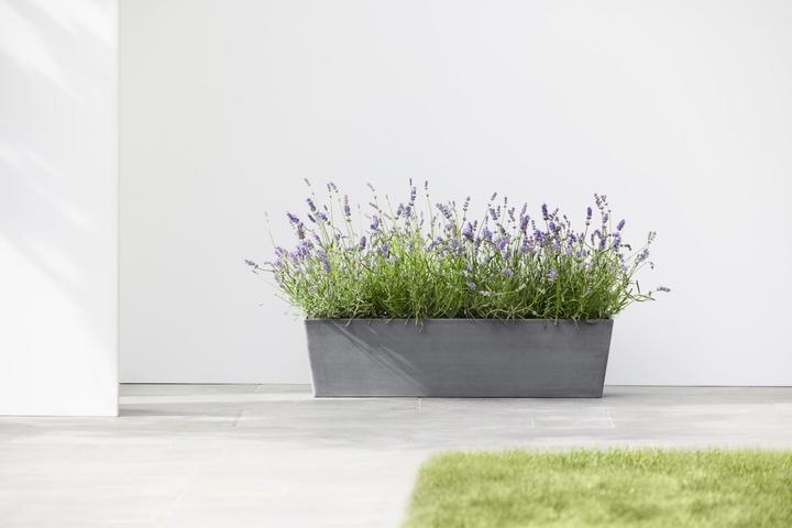 Produktbild Ecopots Bruges (80 cm)