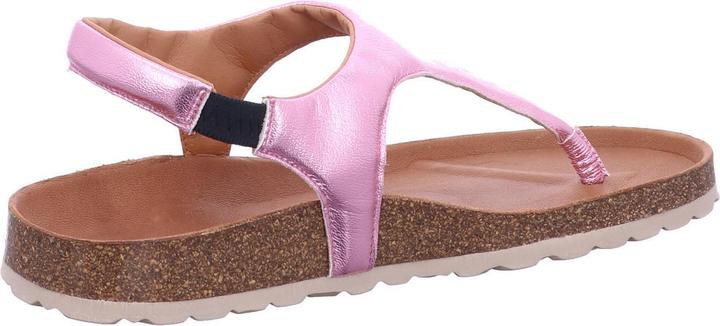 Produktbild Verbenas Reagan (37)