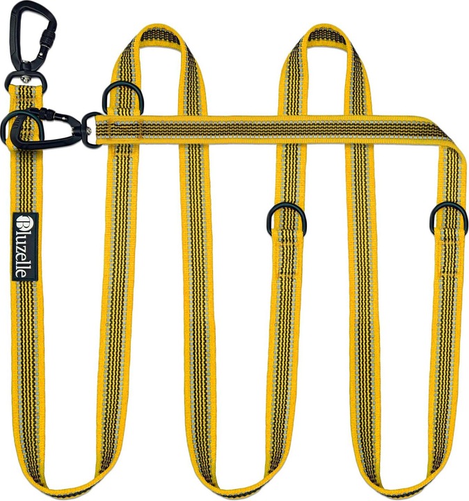 Actual product image Bluzelle Double line (XL, Dog, Walks)