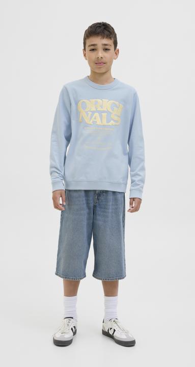 Actual product image Jack & Jones Gedruckt Sweatshirt Junior Sweatshirt (164)