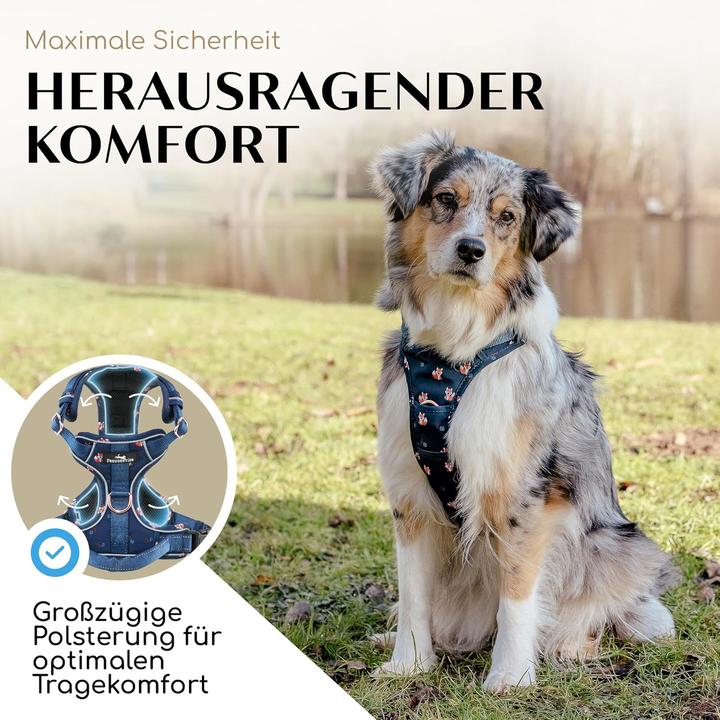Produktbild Freudentier Atmungsaktives Hundegeschirr mit Griff & Polsterung (M, Hund)
