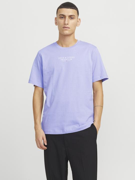 Produktbild Jack & Jones Jprbluarchie Ss Tee Crew Neck Noos (XS)