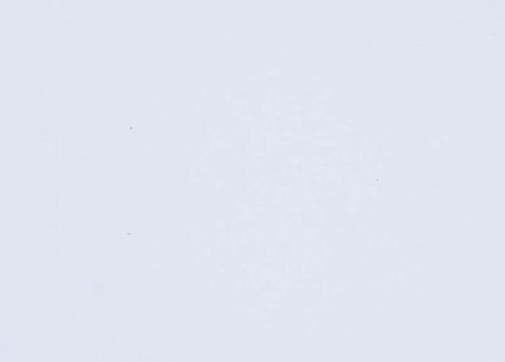 Actual product image Folia Sponge rubber sheet