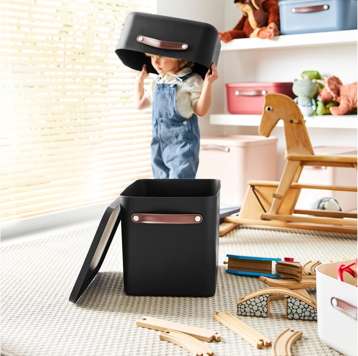 Actual product image Rotho Storage box 27 l C4 MALOJA (27 l)