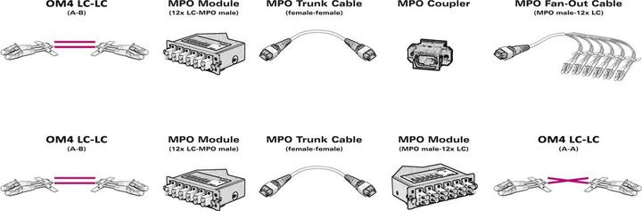 Produktbild Value MPO-Trunk-Kabel (CAT6, 10 m)