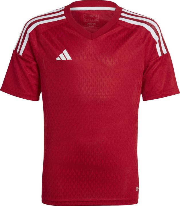 Produktbild adidas Tiro 23 Club Trikot Kinder (164)
