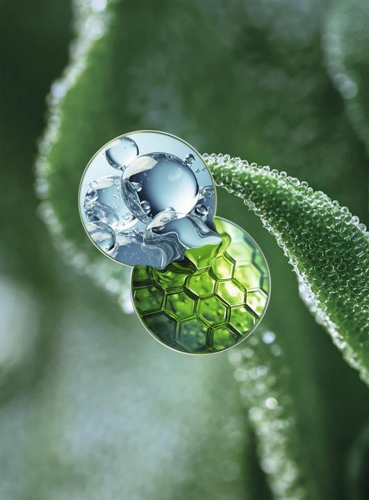 Image du produit Yves Rocher Crème de Jour Lissant Collagène Lift Pro (50 ml, Crème de jour)