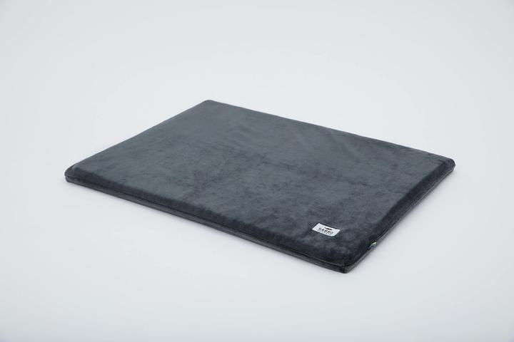 Actual product image Sabro Insert for dog bed Kudde: Moomin Mynki (Dog)