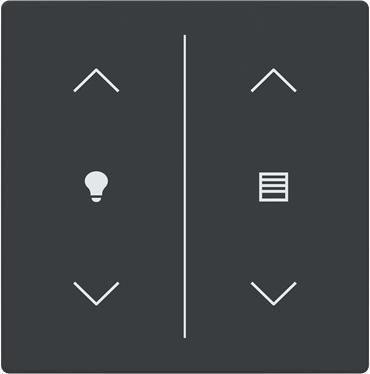 Actual product image Busch-Jaeger Cover