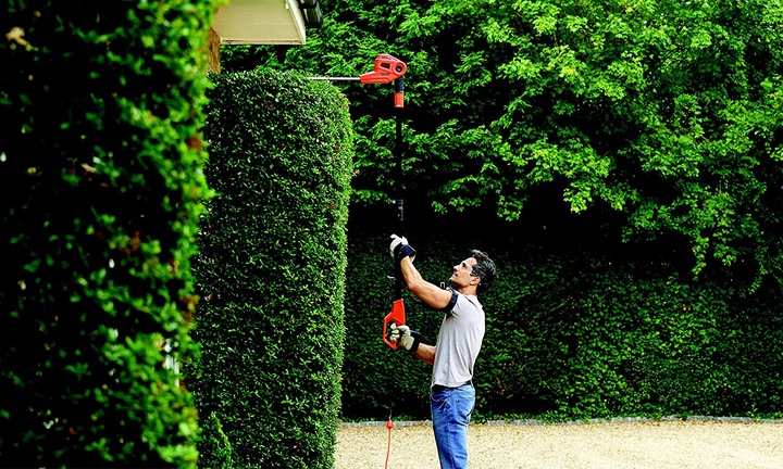Immagine prodotto Black & Decker Tagliasiepi elettrico per pali (Tagliasiepi elettrica)