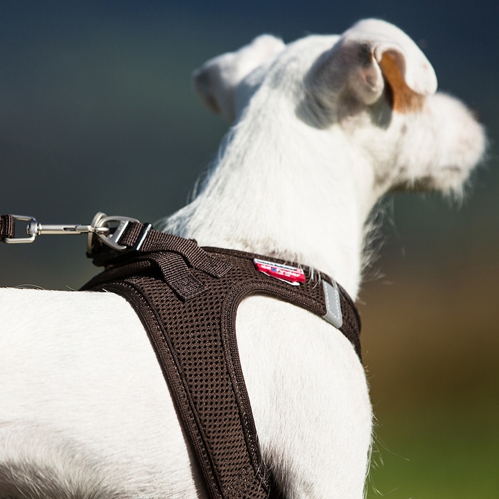 Produktbild Curli Geschirr Vest Air-Mesh XS, Camo (XS, Hund, Allgemein)