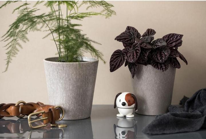 Image du produit Hoptimist Dog (8 x 8 x 10 cm)