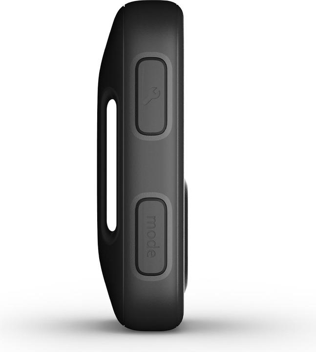 Actual product image GoPro The Remote