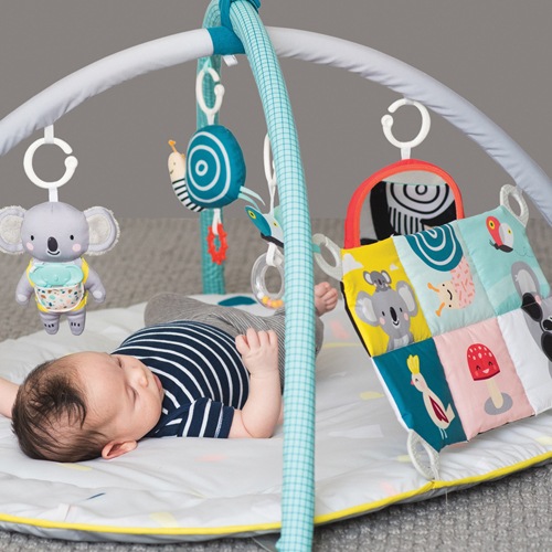 Actual product image Taf Toys All Around Me
