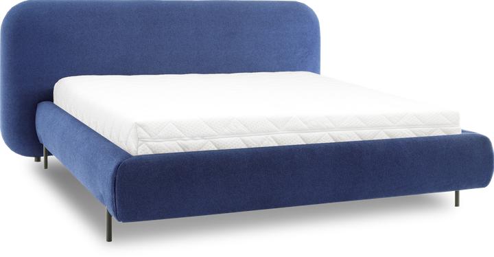 Blue Paolli 40