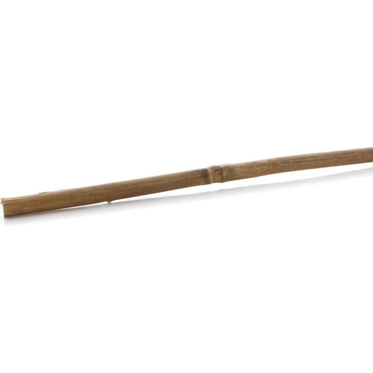 Garden Center, Accessori per piante, Stick To Support Plants (60 cm)