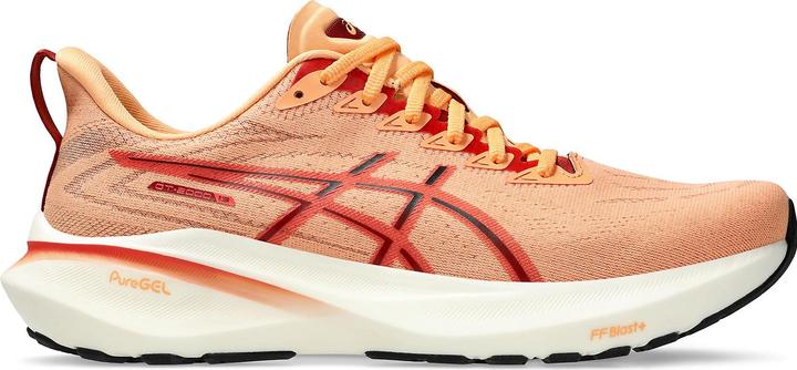 ASICS Performance GT 2000 13 (44.5)