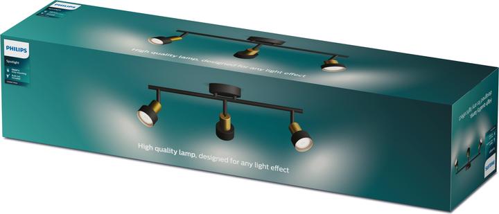 Produktbild Philips Conduit (GU10)