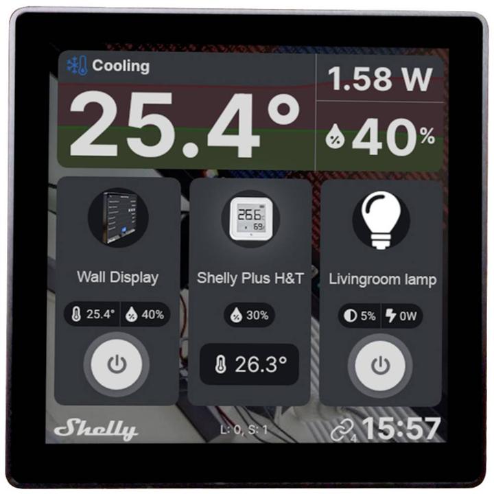 Actual product image Shelly Wall Display