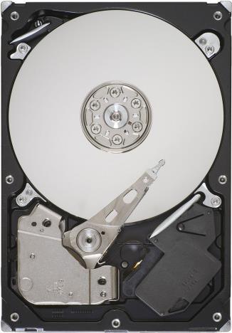 Actual product image Seagate DB35.4 Series ST3250310CS (0.25 TB, 3.5")