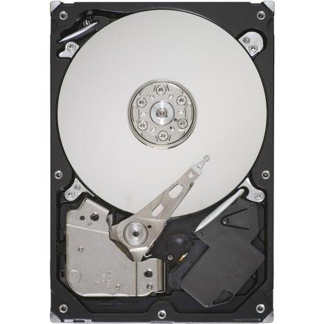 Seagate DB35.4 Series ST3250310CS (0.25 TB, 3.5"), Festplatte