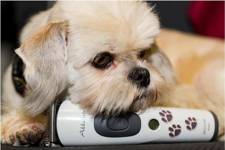 Actual product image Kerbl Accurata (Dog)