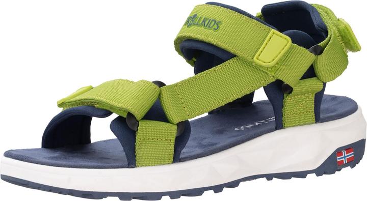 Green Lizard, Kiwi, Mystic Blue